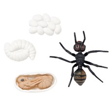 minhwashop 昆蟲生命週期成長公仔 螞蟻 S230141A, 混色, 10個