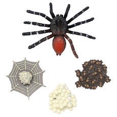 minhwashop 昆蟲生命週期成長公仔 蜘蛛 S230141D, 混和顏色, 10個