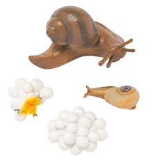 minhwashop 昆蟲生命週期成長公仔 蝸牛 S230141G, 混合色, 10個