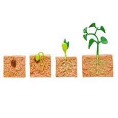 minhwashop 植物生命週期成長公仔 豌豆 S230143A, 混合顏色, 10個