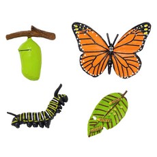 minhwashop 昆蟲生命週期成長公仔 蝴蝶 S230141B, 混合顏色, 10個