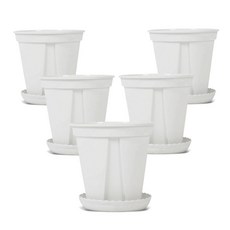 Walled Gardening 多用途 New Long 開縫花盆 + 盆栽底盤 組, 乳白色, 5套