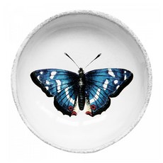 아스티에드빌라트 존데리안 푸른나비 플레이트 CPBJHN4, 혼합색상, 1개