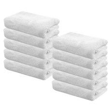 World Clean Greslin 超細纖維毛巾 珊瑚色, 白色, 1入, 10個