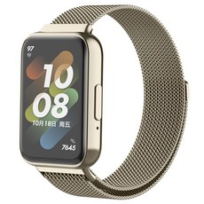 LuA lovel 三星Galaxy Fit 3 米蘭尼斯磁吸金屬錶帶, 香檳金