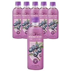 Delphic 無糖藍莓冰茶, 6瓶, 500ml