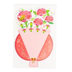 minhwashop 花束信件裝飾 I240001B, 康乃馨