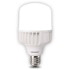 MEGAMAN Vitson 光束燈泡 1級 E39 LED 燈泡 45W 白色, 1個, 晝光色