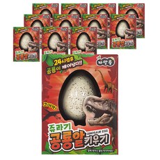 agaplus 泡水養成一把抓恐龍蛋 12種套組 隨機出貨, 1套
