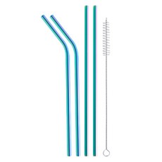 Johnny Free不鏽鋼多用途吸管 直款 2入+彎款 2入+清潔刷組 极光, 1組