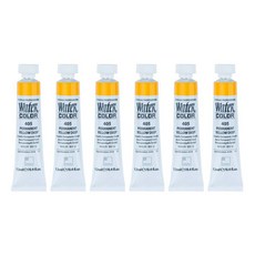 신한화구 전문가 Tube 갑 수채화물감 퍼머넌트 옐로 딥 405 6p, 12ml, 1색