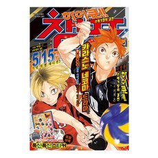 DAEWON CULTURE INDUSTRY 排球少年!! CHAMP 垃圾場的決戰, 古舘春一