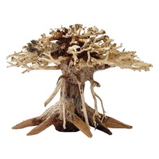 KD 莫絲樹盆景 沉木 水族箱裝飾, 1個