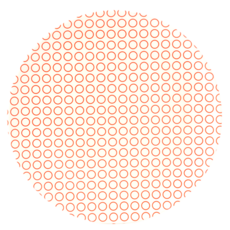 제니아테일러 디너플레이트, 서클, 1개