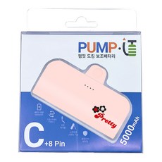 펌핏 디자인플러스 도킹 보조배터리 C타입, TRPB-R5-CHL, 핑크 프리티