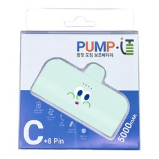펌핏 디자인플러스 도킹 보조배터리 C타입, TRPB-R5-CHL, 민트 오