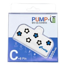 펌핏 디자인플러스 도킹 보조배터리 C타입, TRPB-R5-CHL, 화이트 프리티 플라워