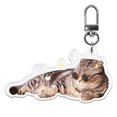 아이무이 아크릴 키링, 시크냥, 1개