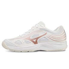 Mizuno 美津濃 Cyclone Speed 3 限定版鞋款 V1GC218036