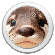 에잇클로드 애니멀페이스 아크릴 맥세이프 스마트톡, 해달, 1개