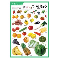 과일 채소 화보 똑똑한 학습 프로그램, 신세계