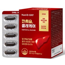 뉴트리디데이 칸씨슬 콜레케어 48g, 60정, 1개