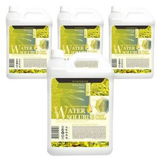 ESTESOPHY 按摩水溶性水溶性油依蘭依蘭, 5L, 4個