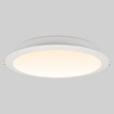 LISHIN Vitson LED 薄型嵌入式筒燈 40W 226 x 32.5 mm, 1個, 晝白色