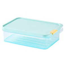 락앤락 프리저핏 냉동실 정리용기, 1개, 1.05L