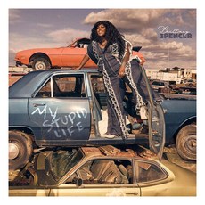 Brittney Spencer - My Stupid Life 進口版