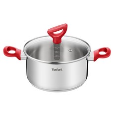Tefal 特福 IH電磁爐適用Edition雙耳鍋, 24cm, 1個, 紅色
