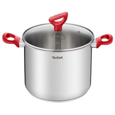 Tefal 特福 電磁爐適用Induction Edition雙耳湯鍋, 紅色, 1個, 22cm