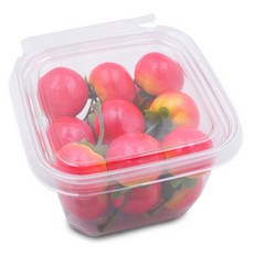 Daissyu 鎖扣密封便當盒, 20個, 1入