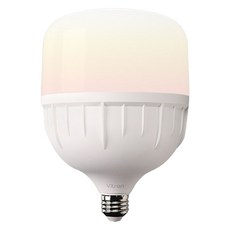 LISHIN Vitson LED T型燈泡 50W E26, 1個, 燈泡色