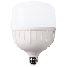 LISHIN Vitson LED T型燈泡 50W E26, 1個, 晝光色