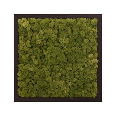 SCANDIAMOSS 苔蘚方形畫框 Pramo, 中綠色(畫框), 胡桃木色(邊框)