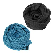 BUCK703 冰感涼爽運動毛巾 2入組, 黑色, 天藍色