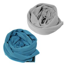BUCK703 冰感涼爽運動毛巾 2入組, 灰色, 天藍色