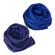 BUCK703 冰感涼爽運動毛巾 2入組, 藍色, 紫色