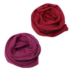 BUCK703 冰感涼爽運動毛巾 2入組, 紅色, 粉紅色