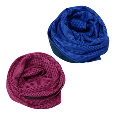 BUCK703 冰感涼爽運動毛巾 2入組, 藍色, 粉紅色