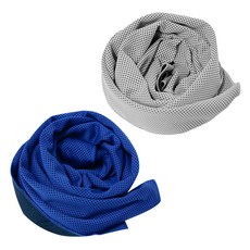 BUCK703 冰感涼爽運動毛巾 2入組, 灰色, 藍色