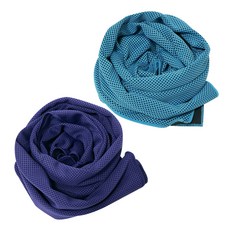 BUCK703 冰感涼爽運動毛巾 2入組, 天藍色, 紫色