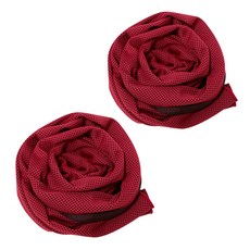 BUCK703 冰感涼爽運動毛巾 2入組, 紅色, 紅色