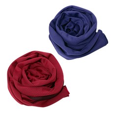 BUCK703 冰感涼爽運動毛巾 2入組, 紫色, 紅色