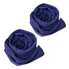 BUCK703 冰感涼爽運動毛巾 2入組, 紫色, 紫色