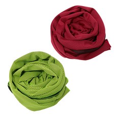 BUCK703 冰感涼爽運動毛巾 2入組, 紅色, 綠色