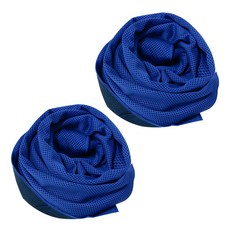 BUCK703 冰感涼爽運動毛巾 2入組, 藍色, 藍色