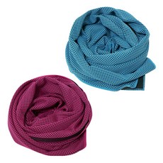 BUCK703 冰感涼爽運動毛巾 2入組, 天藍色, 粉紅色
