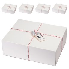 인디케이 패키지 상자 대 5p + 완충재 5p + 트와인끈 + 스티커 2종 x 5p + 텍 2종 x 5p 세트, 화이트(상자), 1세트